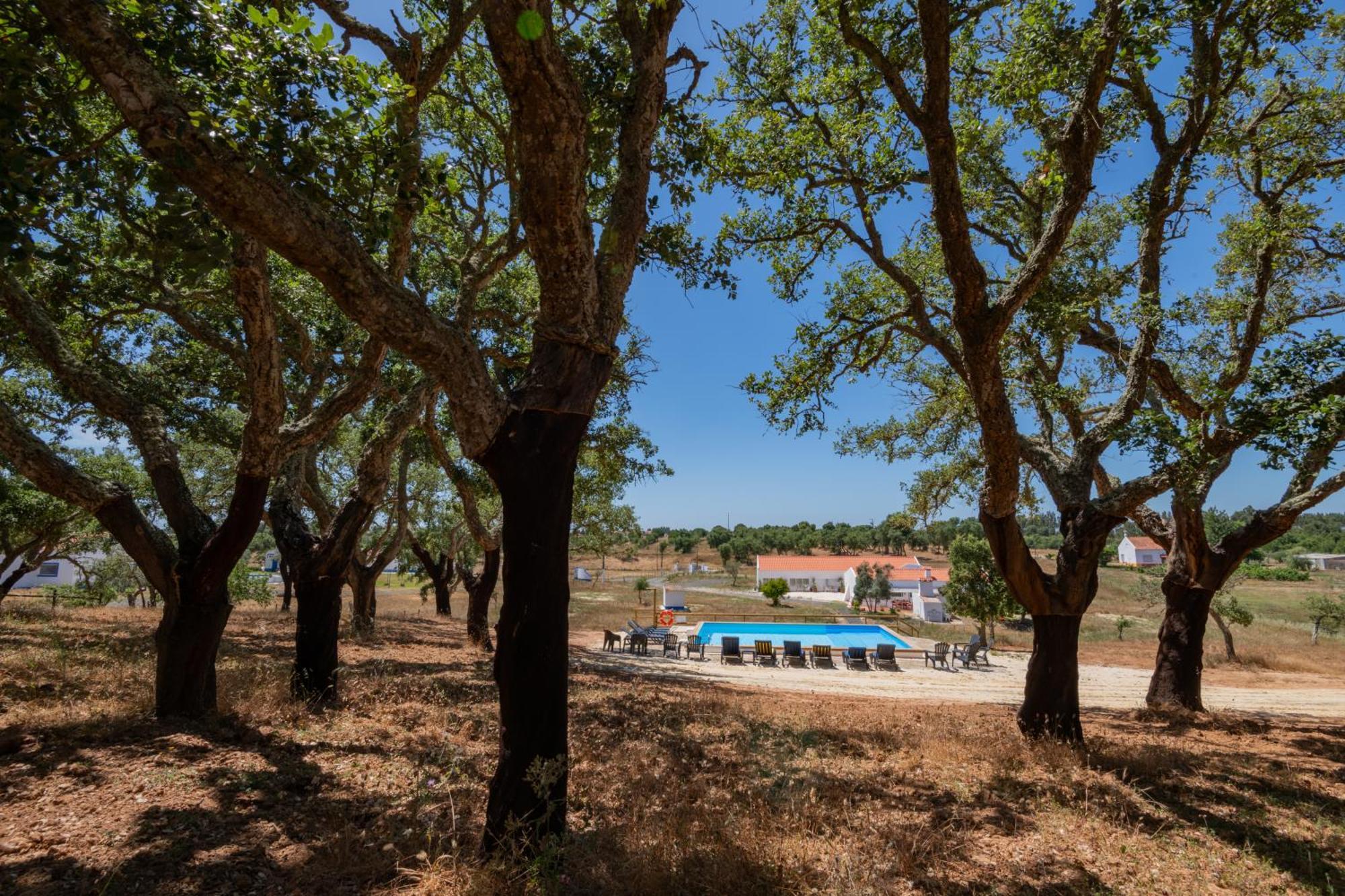 Valle D'Agua - Casas De Campo Vale de Água 외부 사진